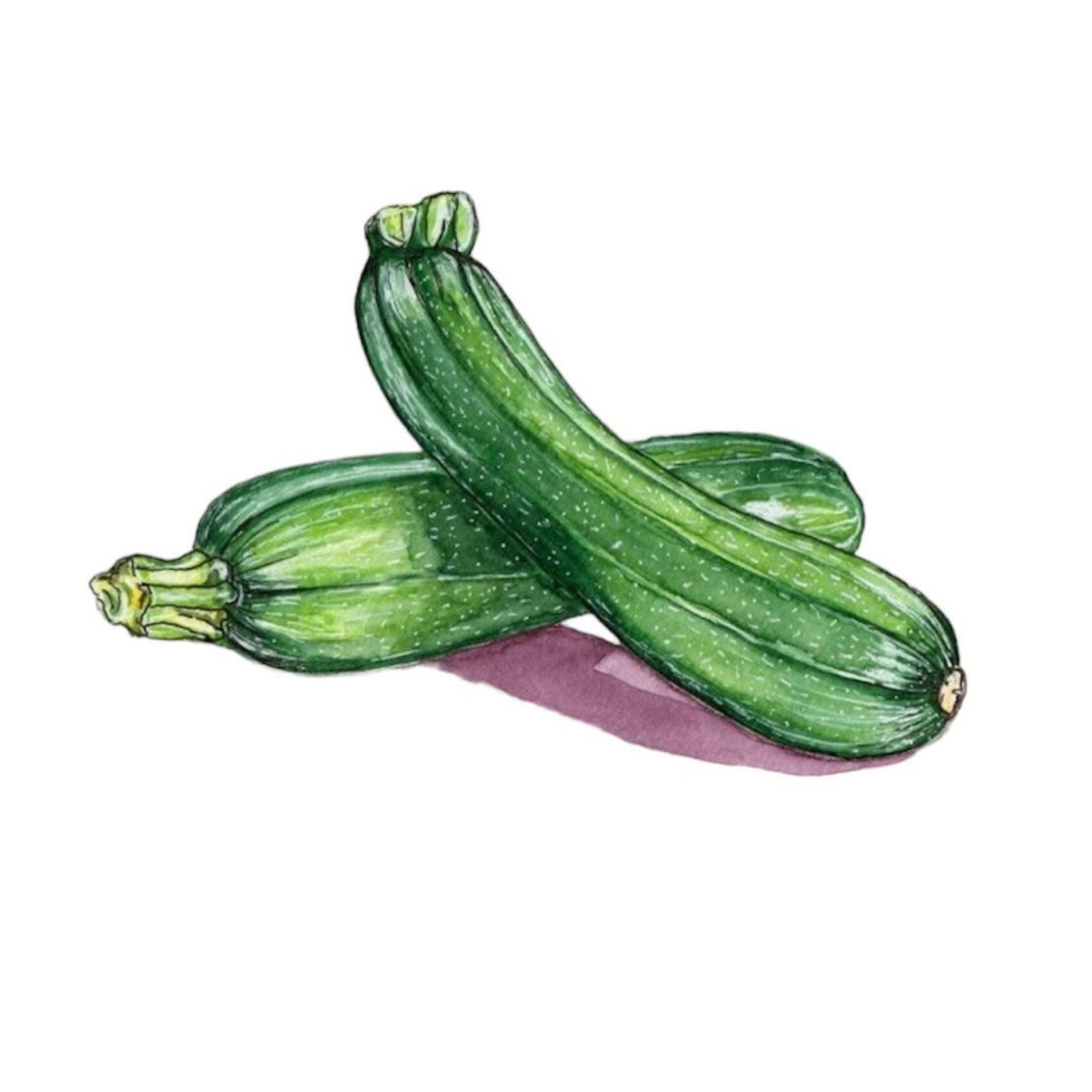 Courgette